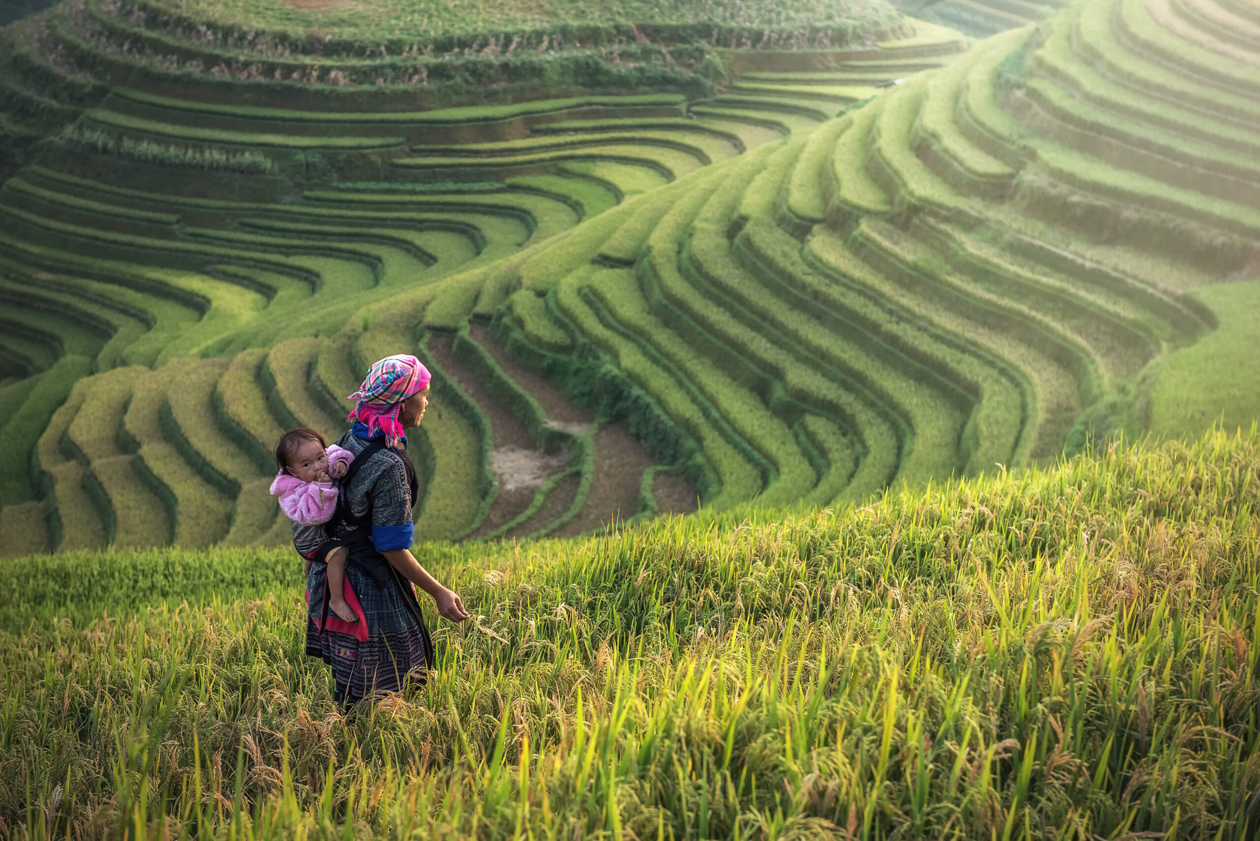 Mother and child working at rice field