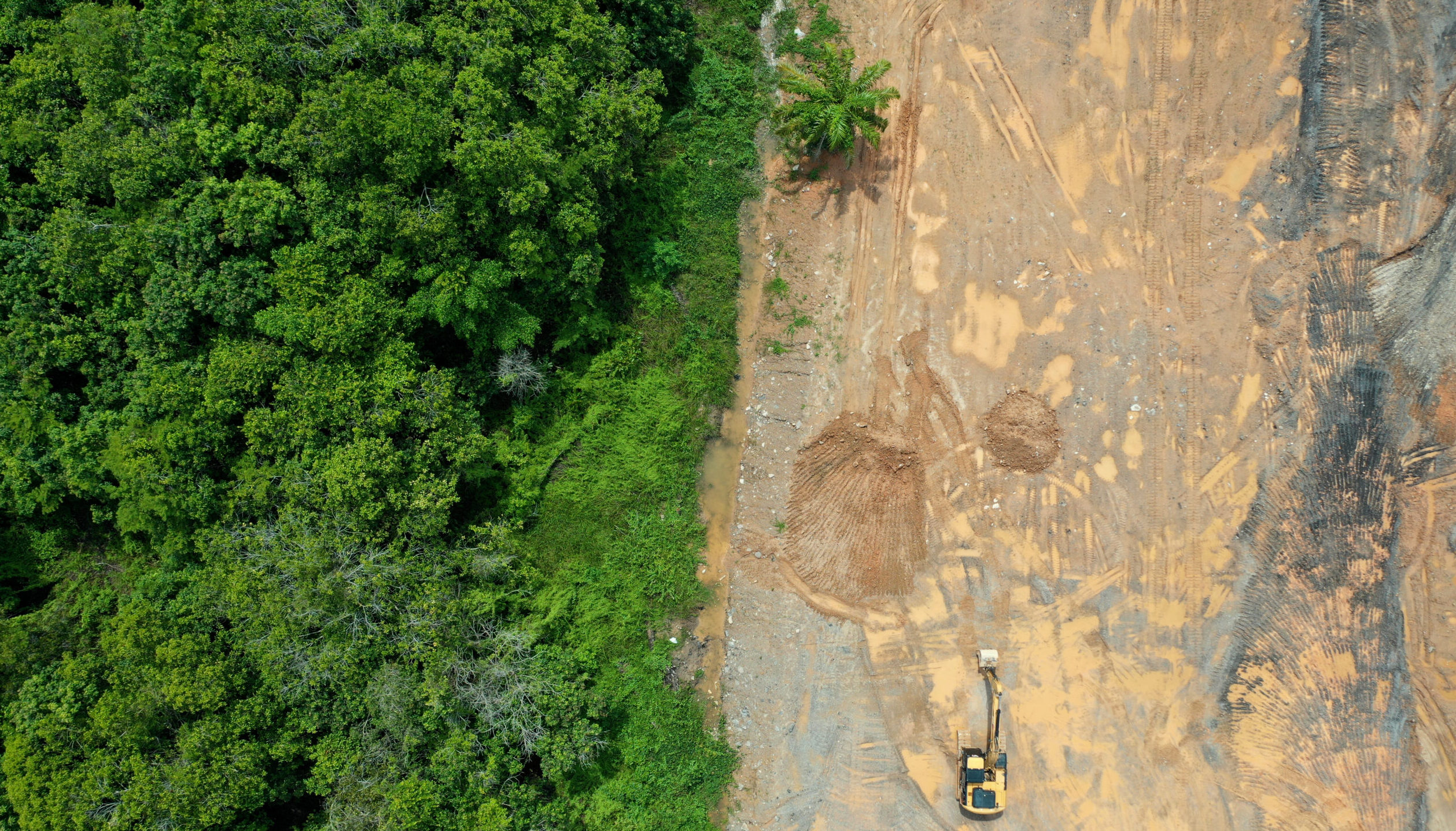 Environmental,Damage.,Deforestation,And,Logging.,Aerial,Photo,Of,Forest,Cut